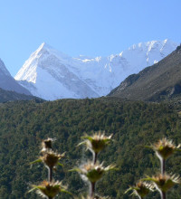 How Ganesha Helped Me Find Hanuman’s Mountain