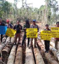 Borneo Tree Spirits Go to Court