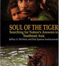 Soul of the Tiger