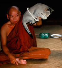 Jumping Through Buddhist Hoops in Burma